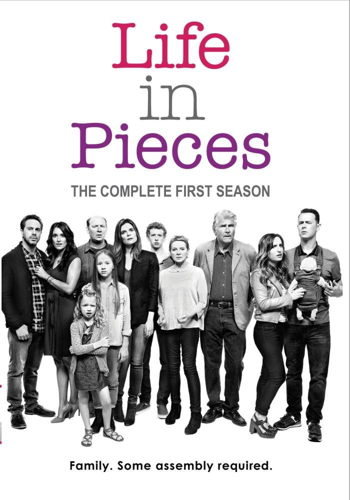 Life in Pieces: Season 1 (DVD)