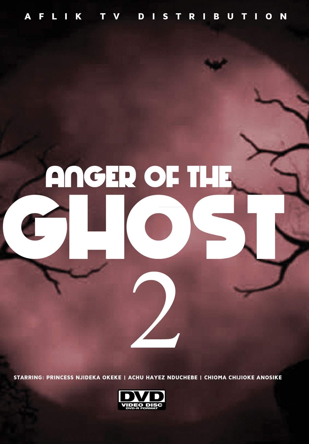 Anger of the Ghost 2 (DVD)