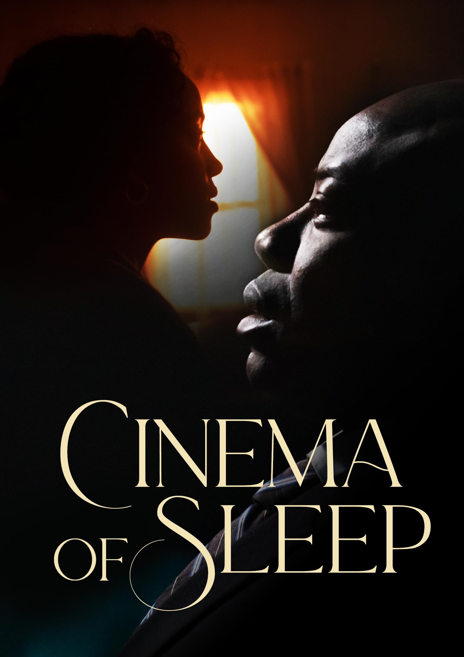 The Cinema of Sleep (DVD)