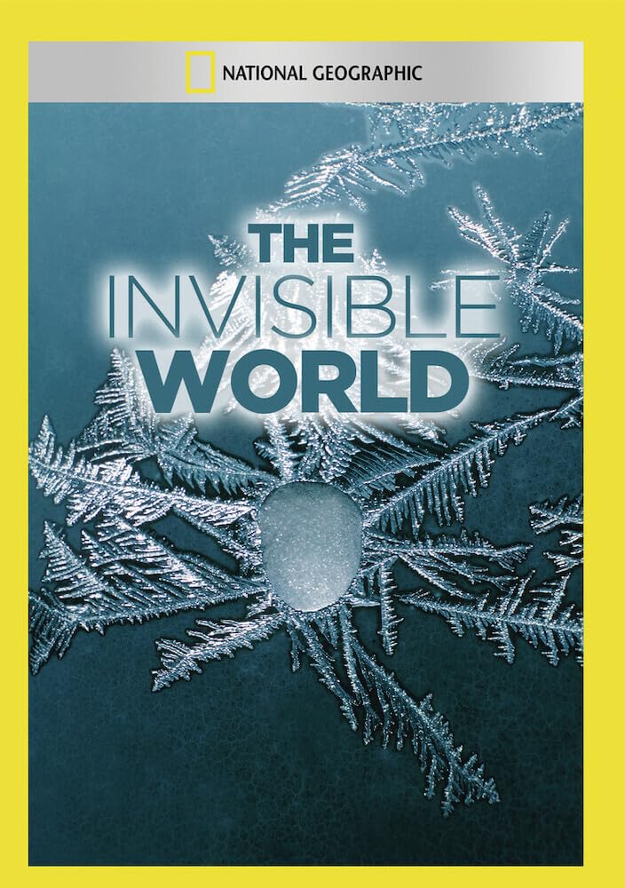 The Invisible World (DVD)