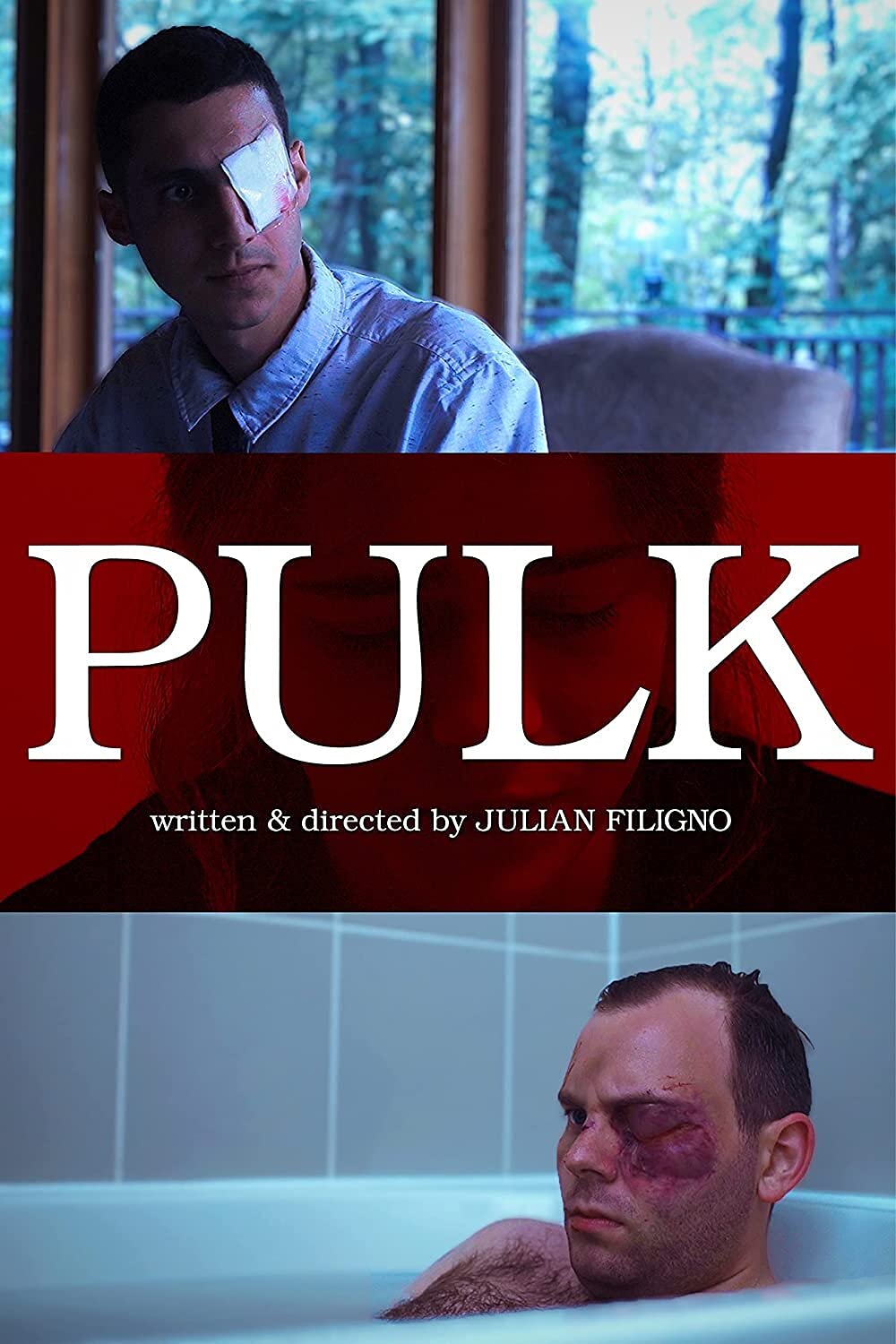 Pulk (DVD)