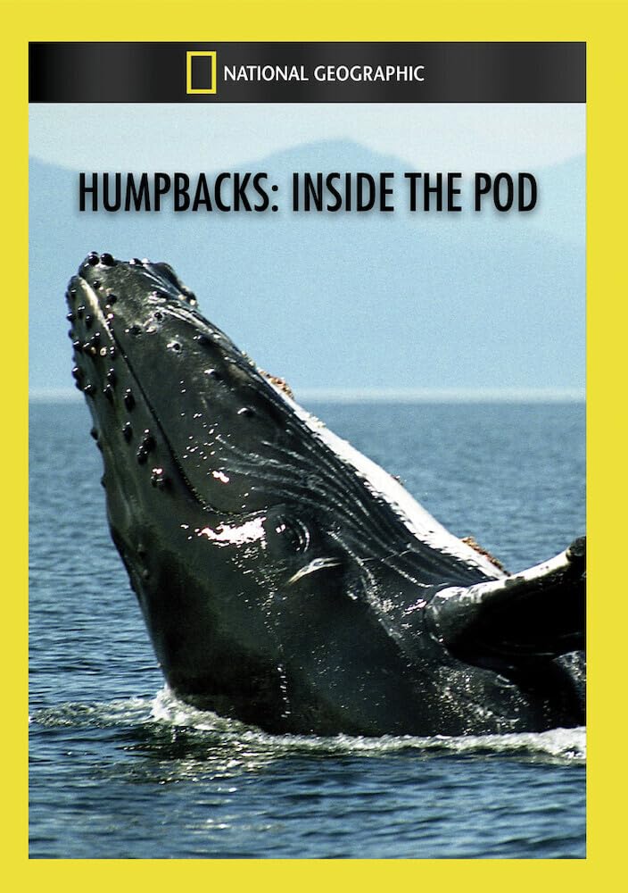 Humpbacks: Inside the Pod (DVD)