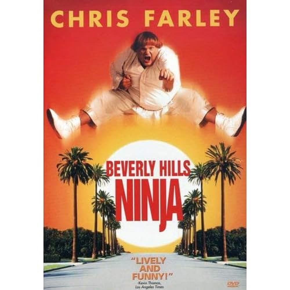 Beverly Hills Ninja (DVD)