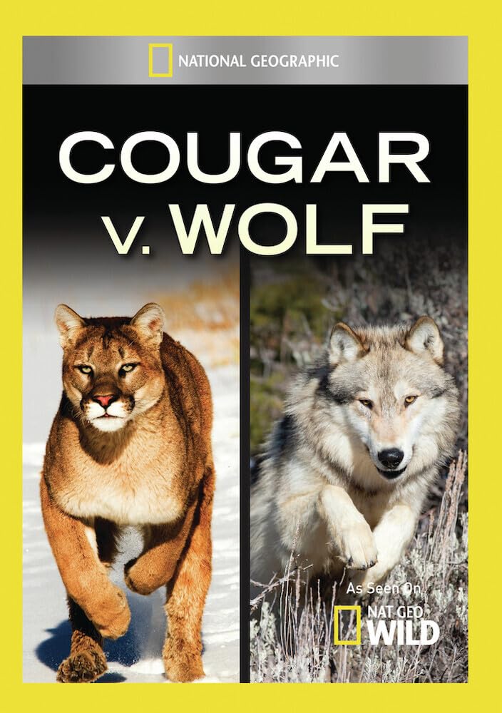 National Geographic: Cougar V Wolf (DVD)