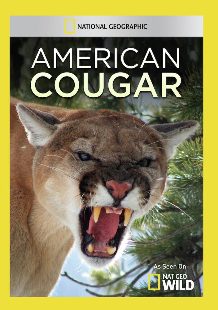 American Cougar (DVD)
