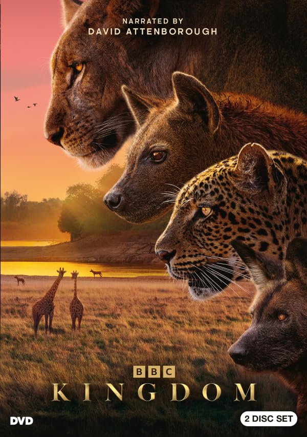 Kingdom (DVD)