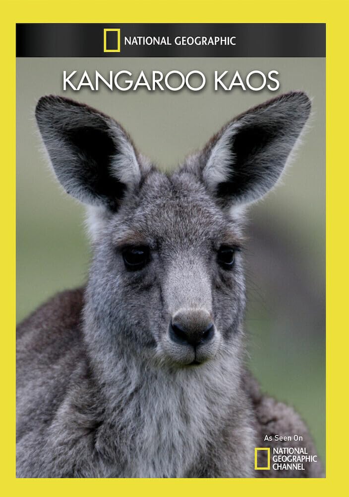 Kangaroo Kaos (DVD)