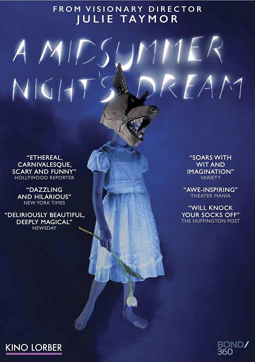 Midsummer Night's Dream (Julie Taymor) (DVD)