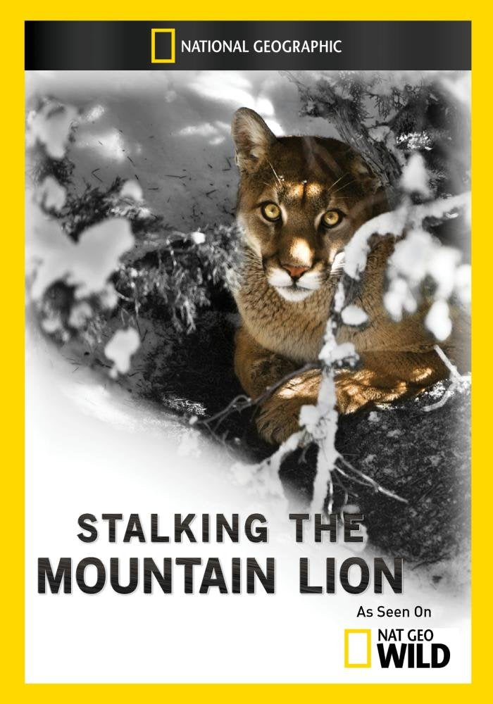 Stalking the Mountain Lion (DVD)