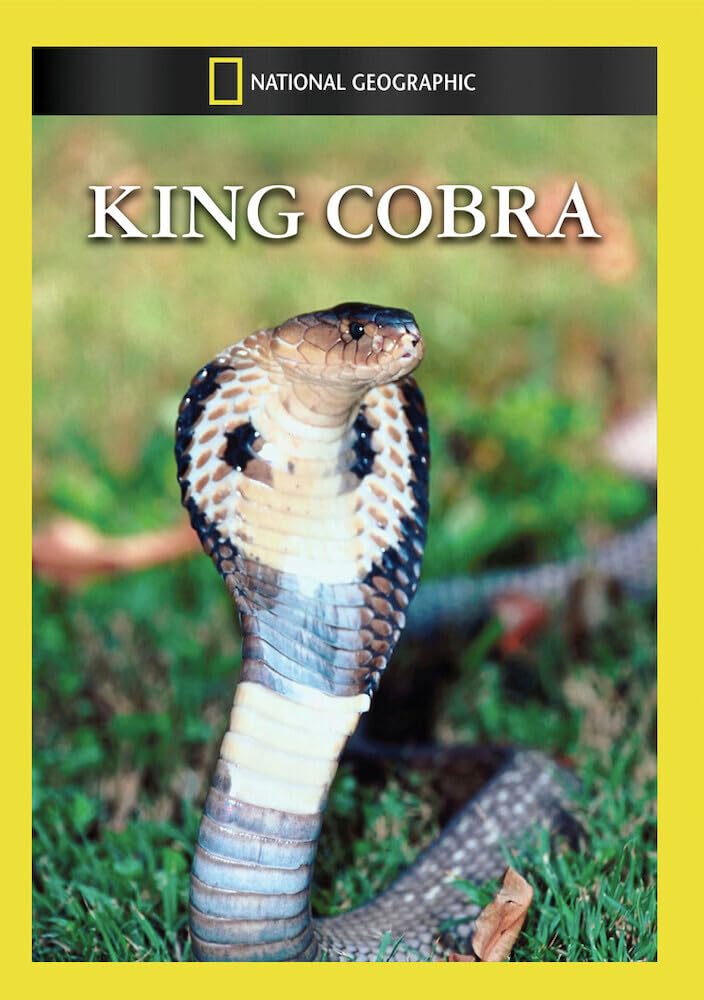King Cobra (DVD)