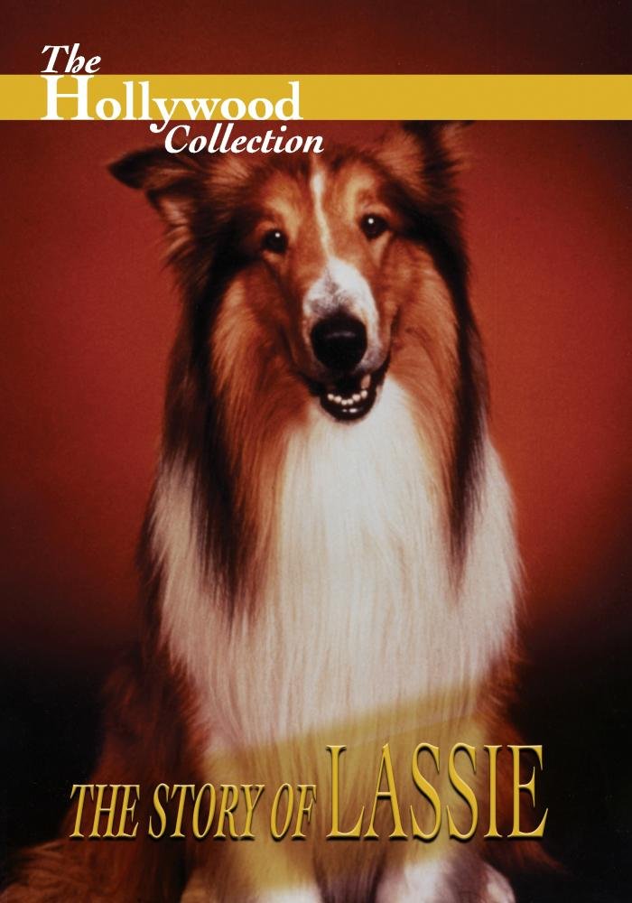 Hollywood Collection: The Story of Lassie (DVD)