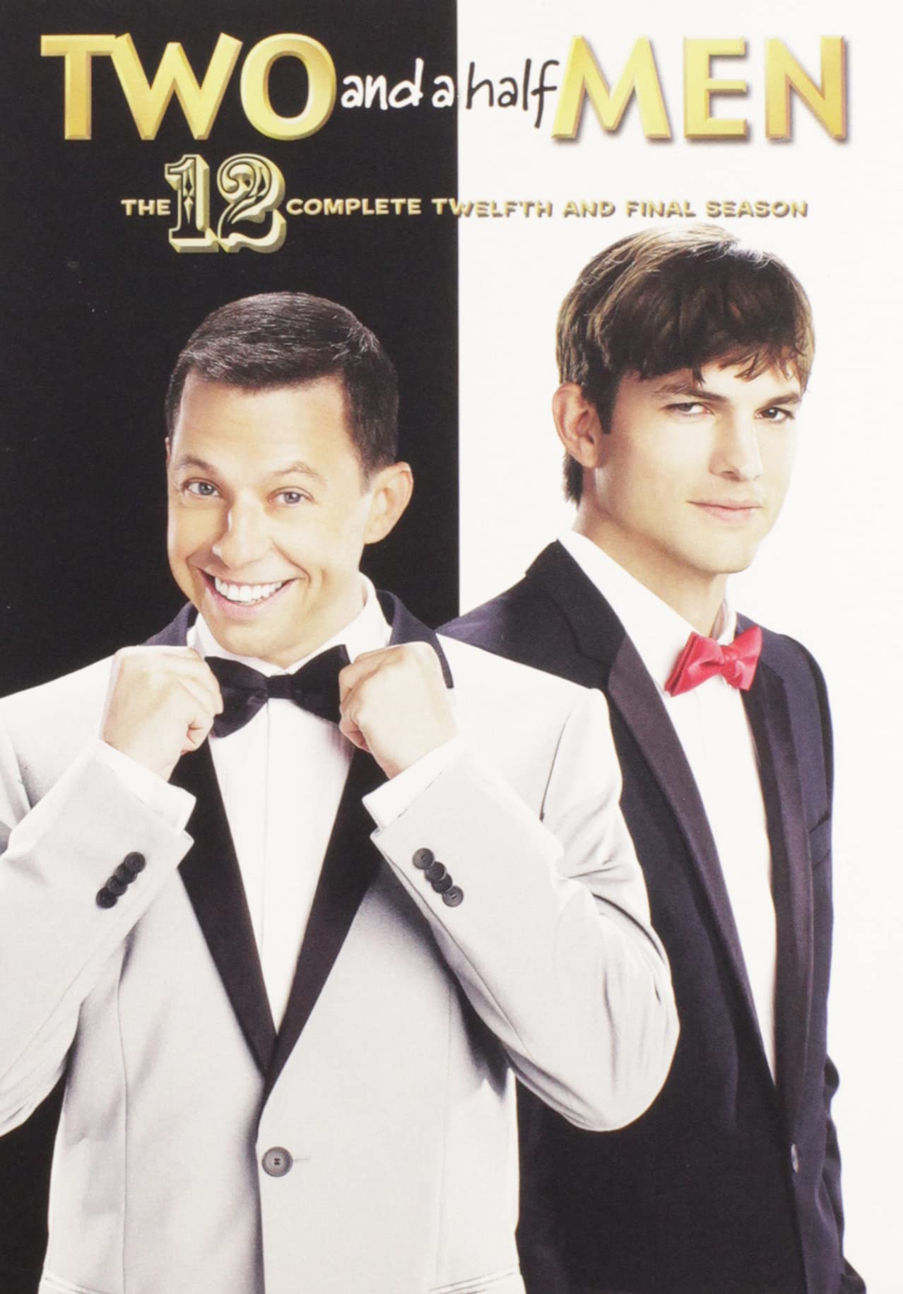 Two and A Half Men: Season 12 (DVD)