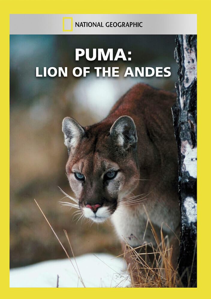 Puma: Lion of the Andes (DVD)