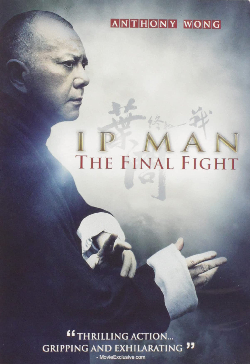 Ip Man: The Final Fight (DVD)