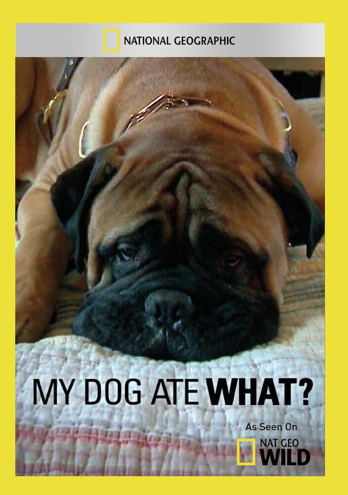 My Dog Ate What? (DVD)