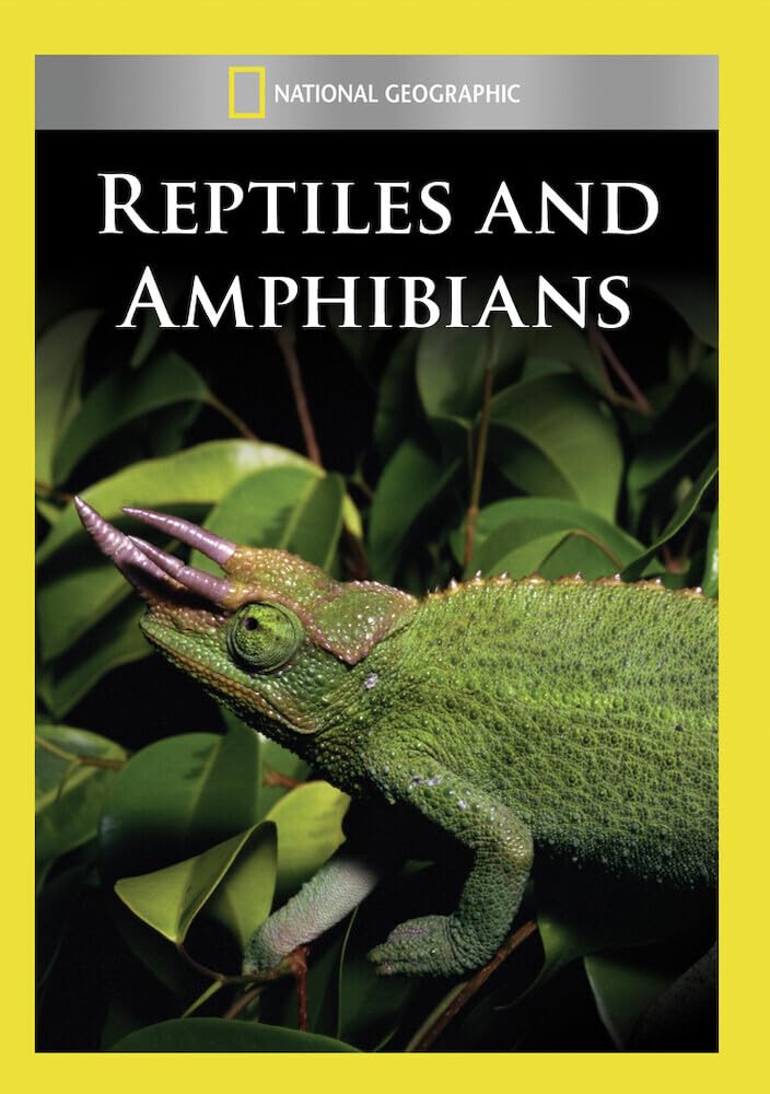 Reptiles and Amphibians (DVD)