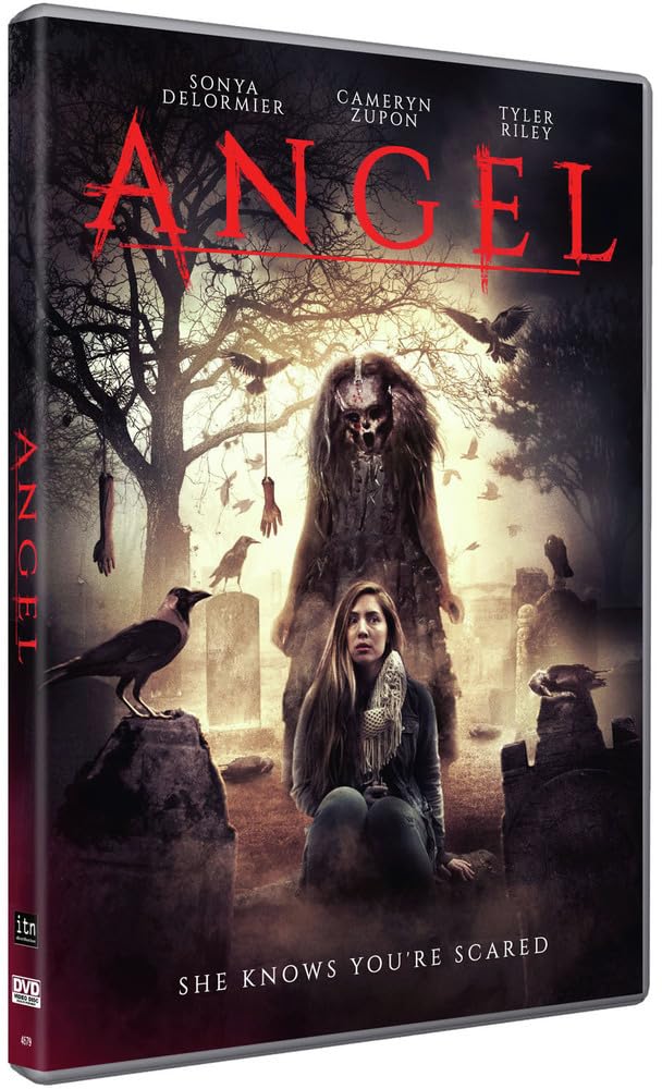 Angel (DVD)