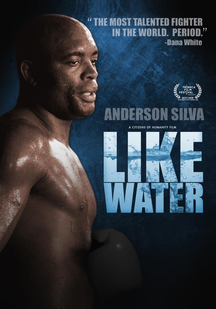 Anderson Silva: Like Water (DVD)