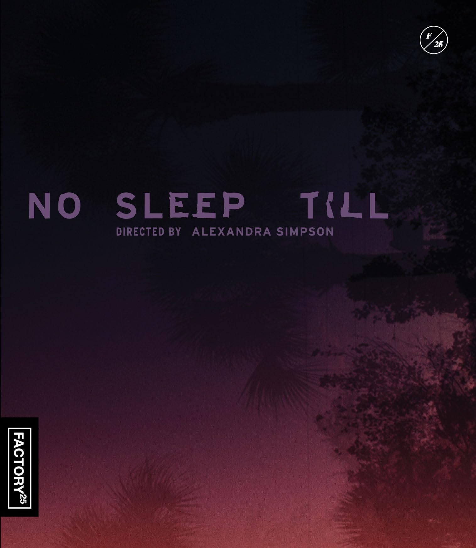 No Sleep Till (Blu-ray)