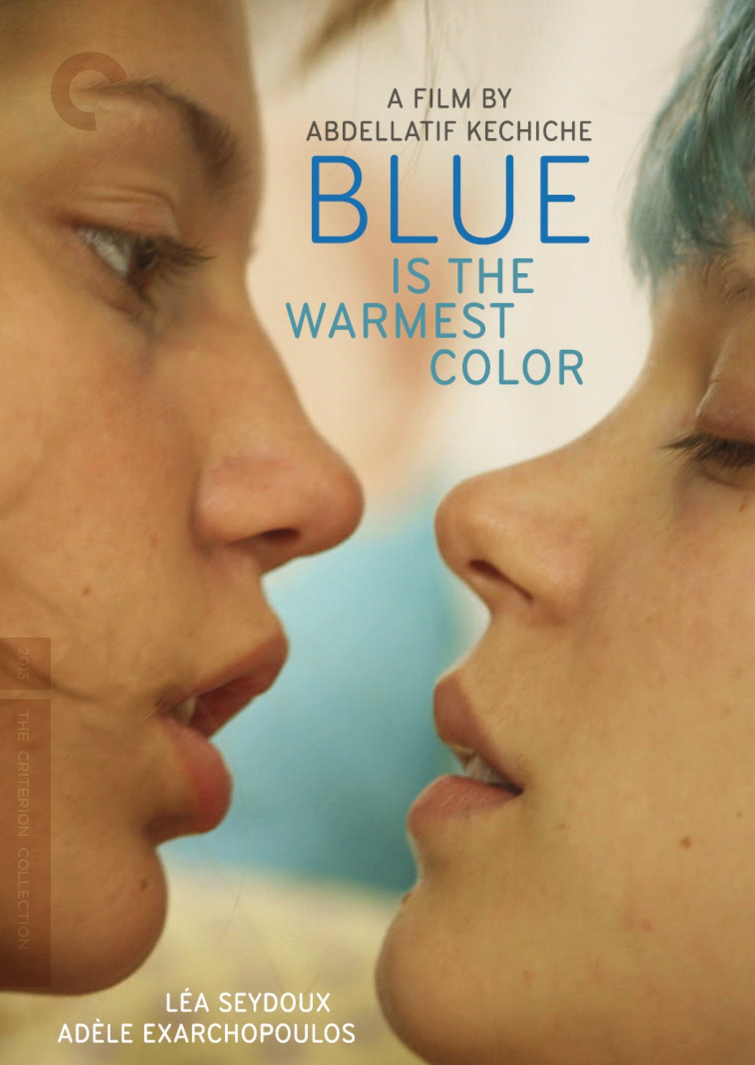 Blue Is the Warmest Color (DVD)