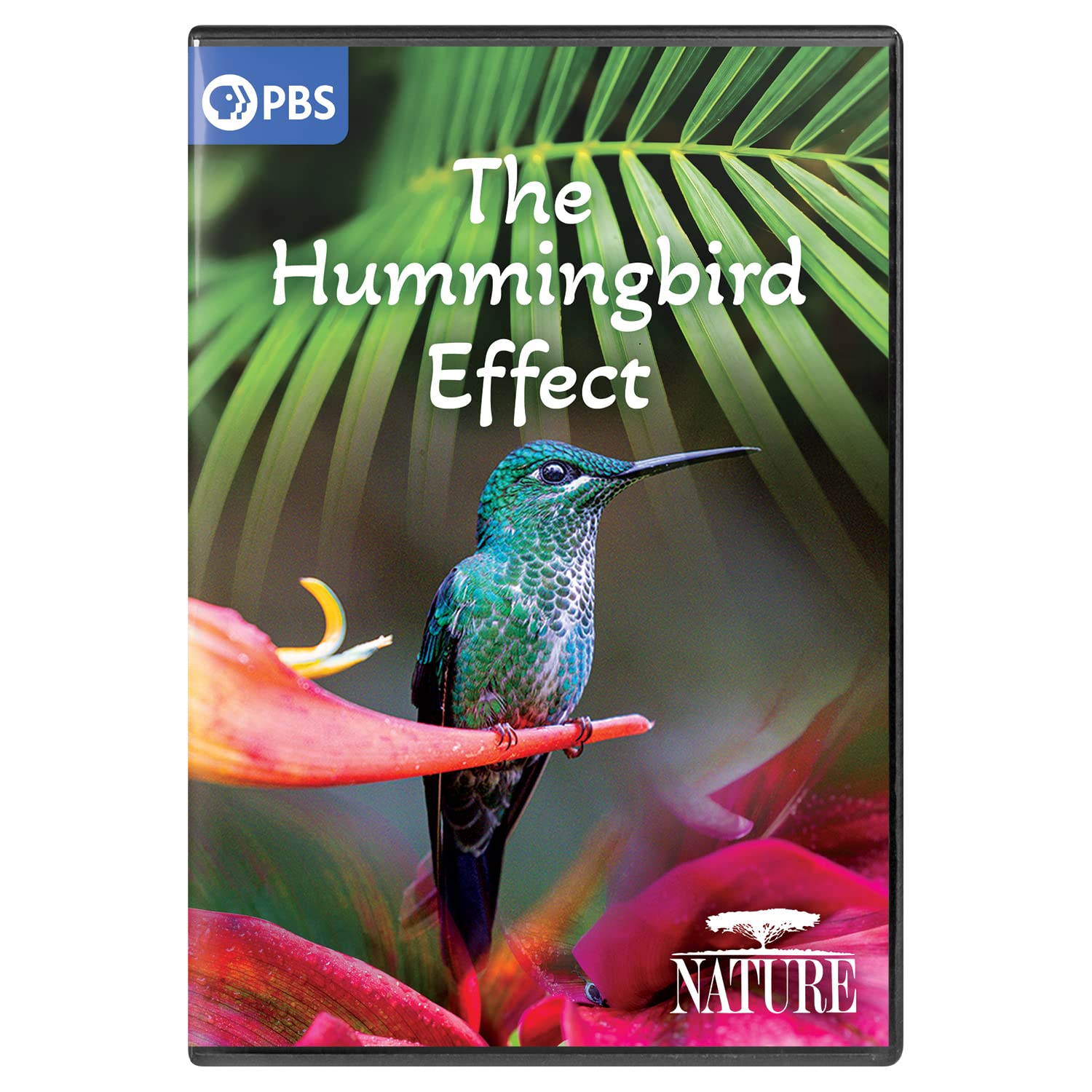 Nature: The Hummingbird Effect (DVD)