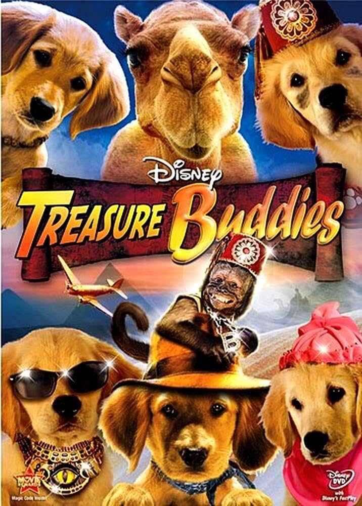Treasure Buddies (DVD)