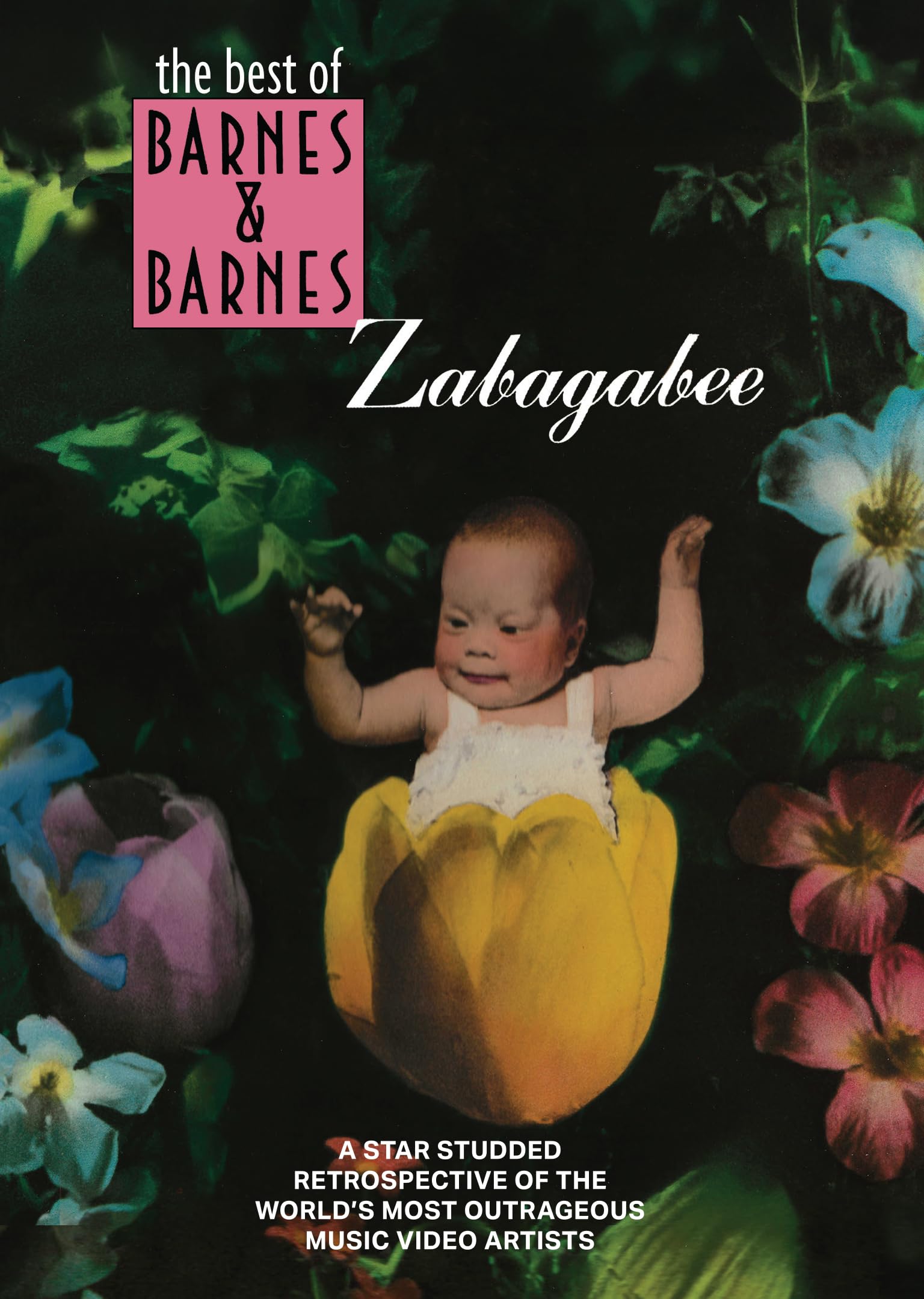 Zabagabee: The Best Of Barnes & Barnes (DVD)