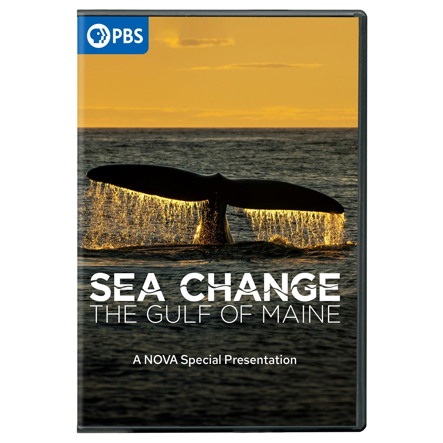 Sea Change: The Gulf of Maine, A Nova Special Presentation (DVD)