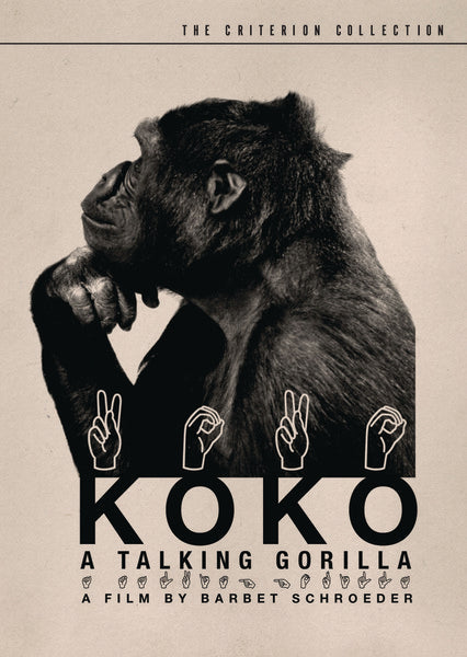 Koko: A Talking Gorilla (DVD)