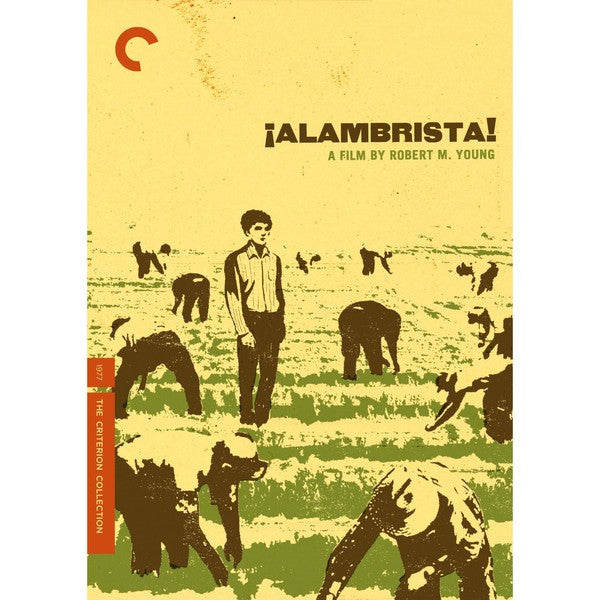 Alambrista! (DVD)