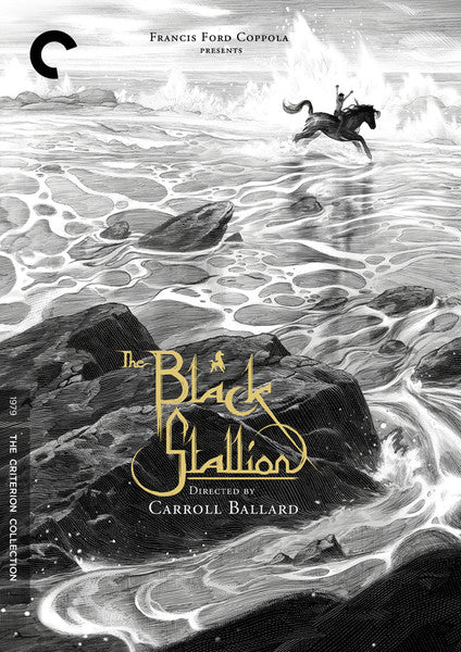 The Black Stallion (DVD)