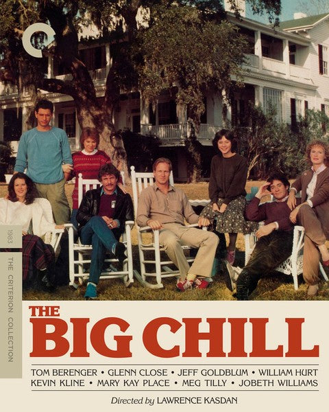 The Big Chill (DVD)