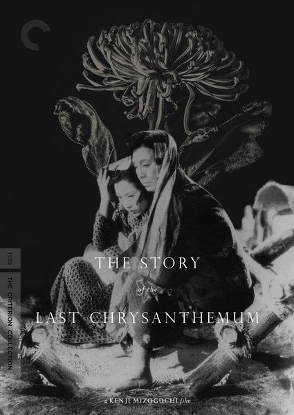 The Story of the Last Chrysanthemum (DVD)