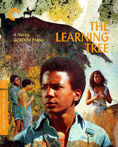 The Learning Tree (DVD)