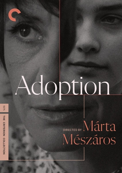 Adoption (DVD)