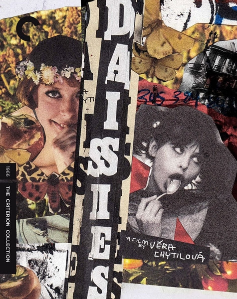 Daisies (Blu-ray)