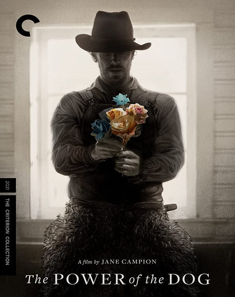 The Power of the Dog (DVD)