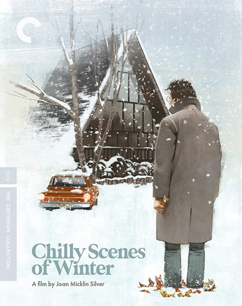 Chilly Scenes of Winter (Blu-ray)