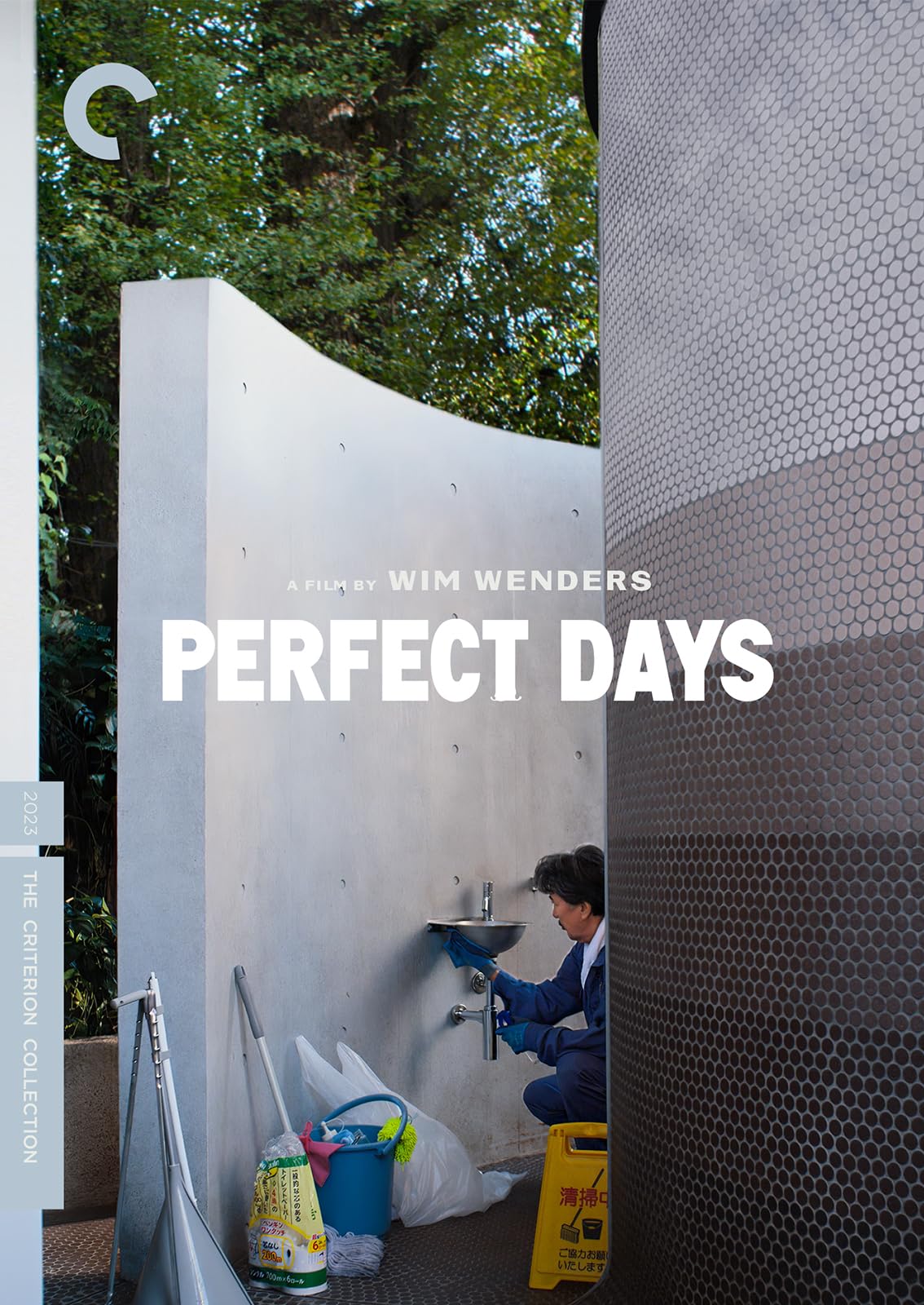 Perfect Days (DVD)