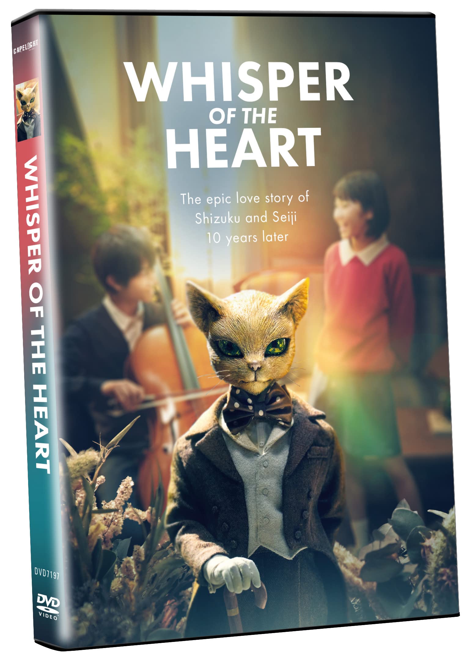 Whisper of the Heart (DVD)