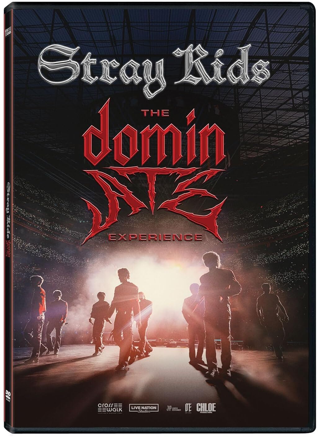 Stray Kids: The dominATE Experience (DVD)