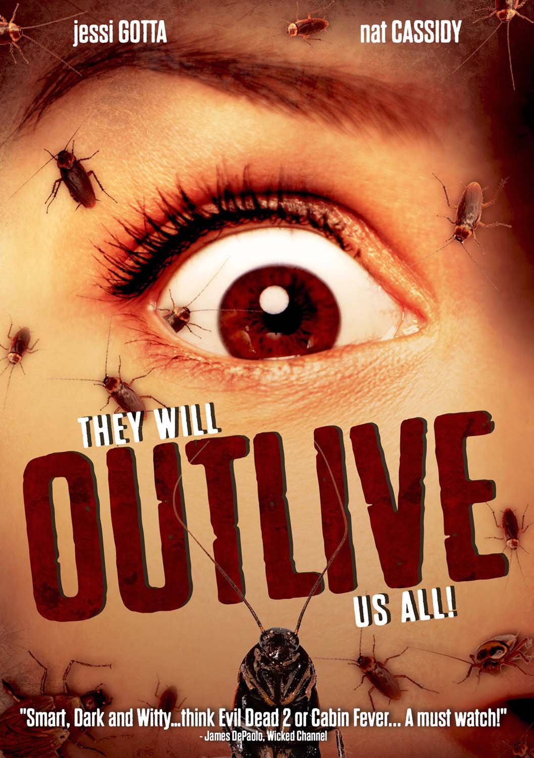 They Will Outlive Us All (DVD)