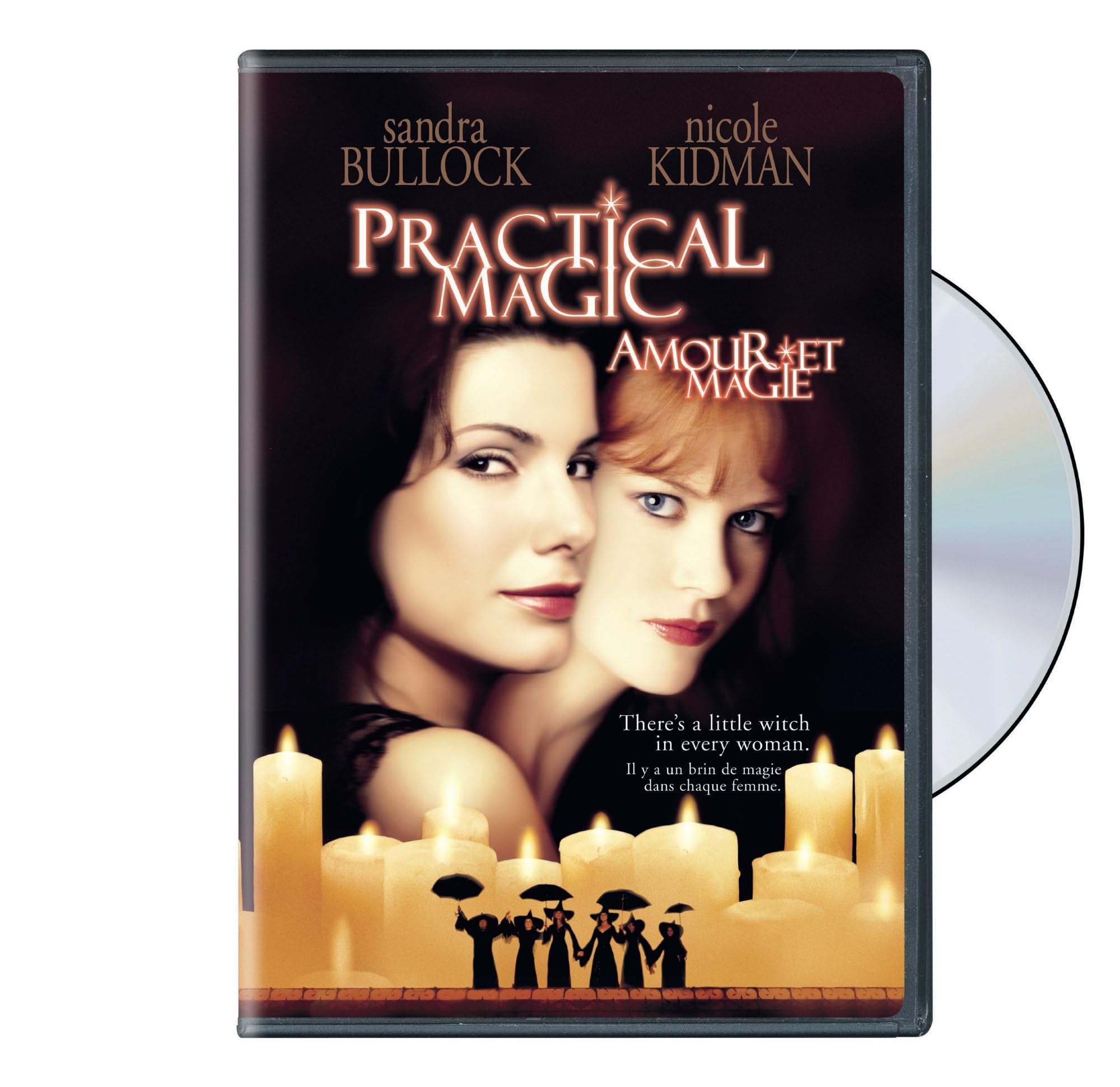 Practical Magic (DVD)