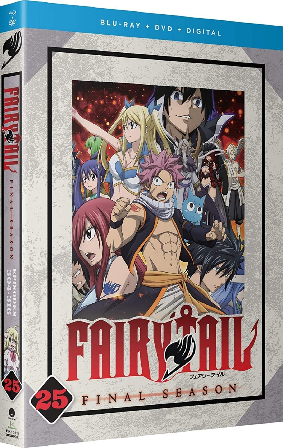 Fairy Tail: Part 25 (Blu-ray)