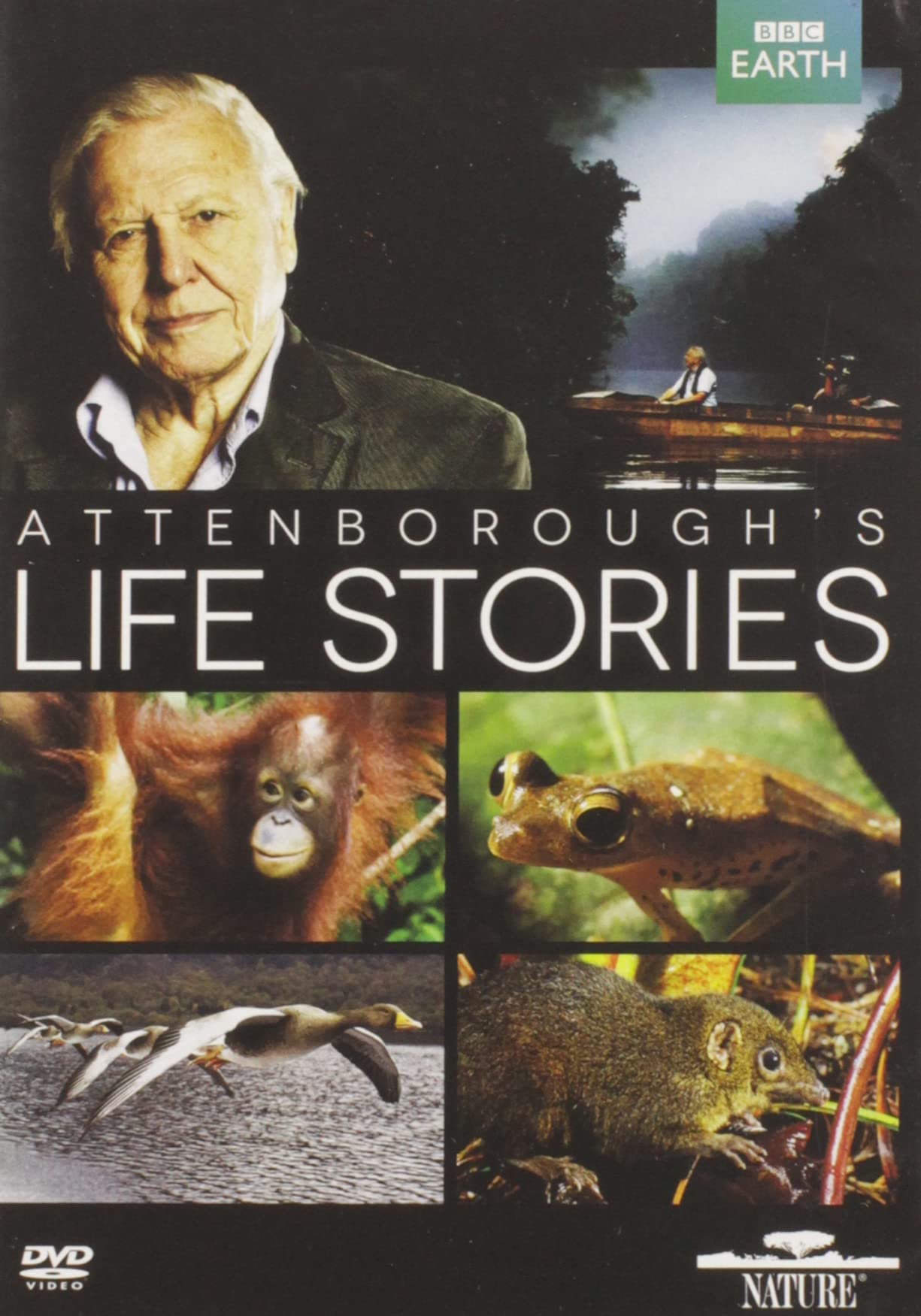 Life Stories (DVD)