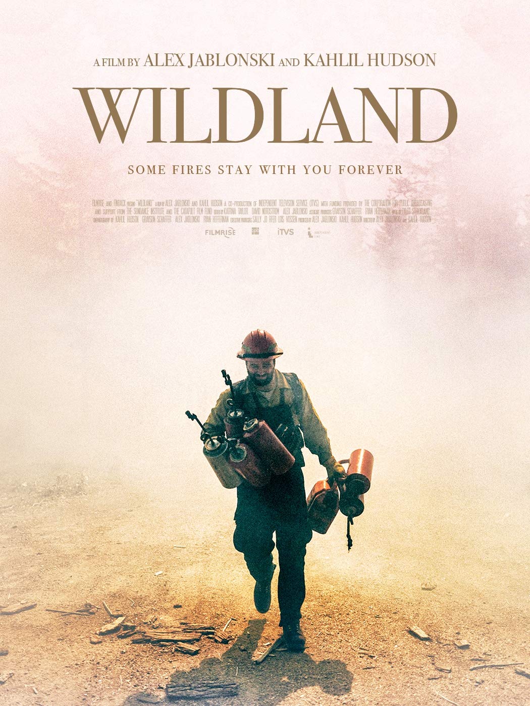 Wildland (DVD)
