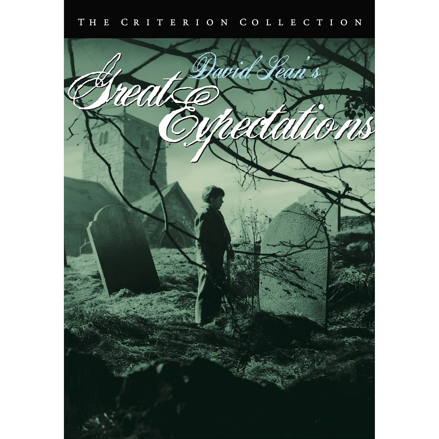 Great Expectations (DVD)