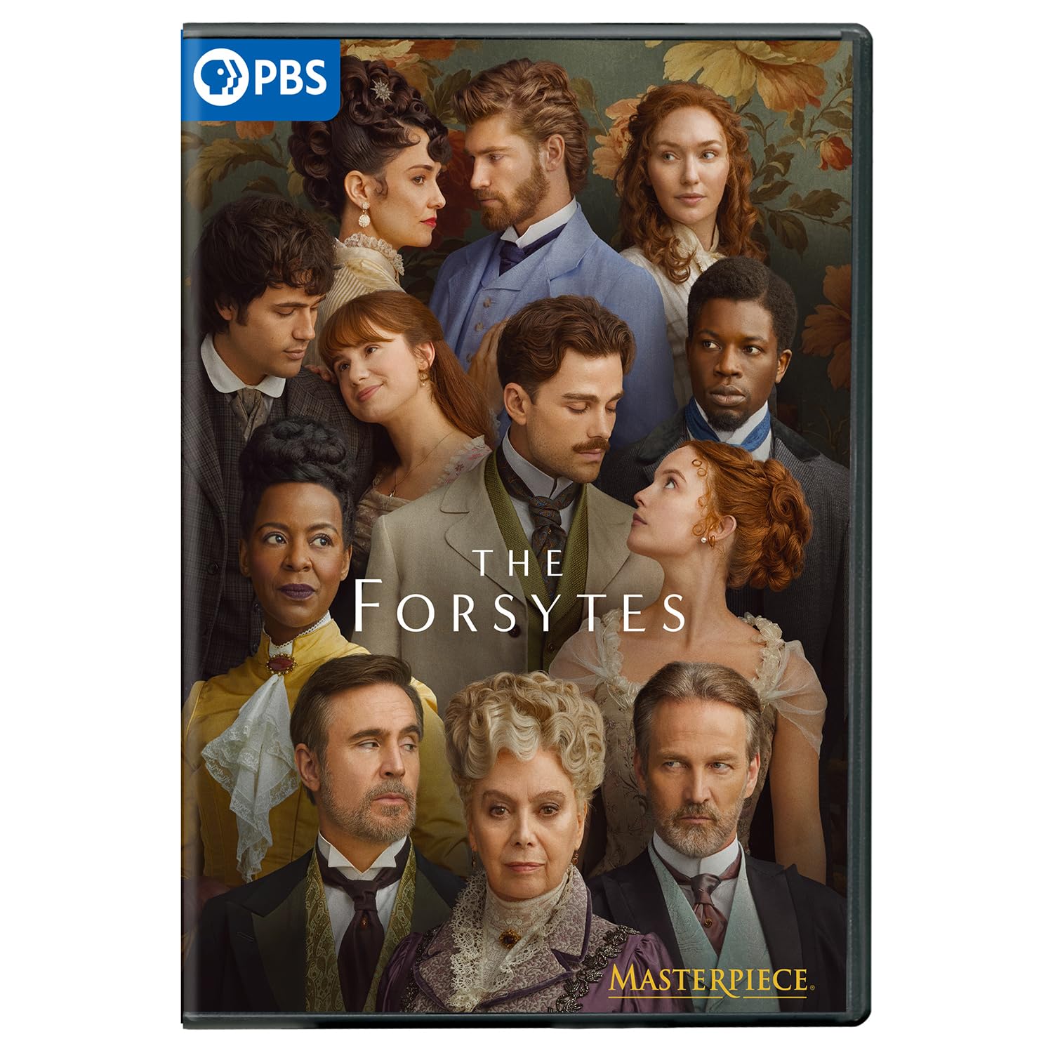 Masterpiece: The Forsytes: Season 1 (DVD)