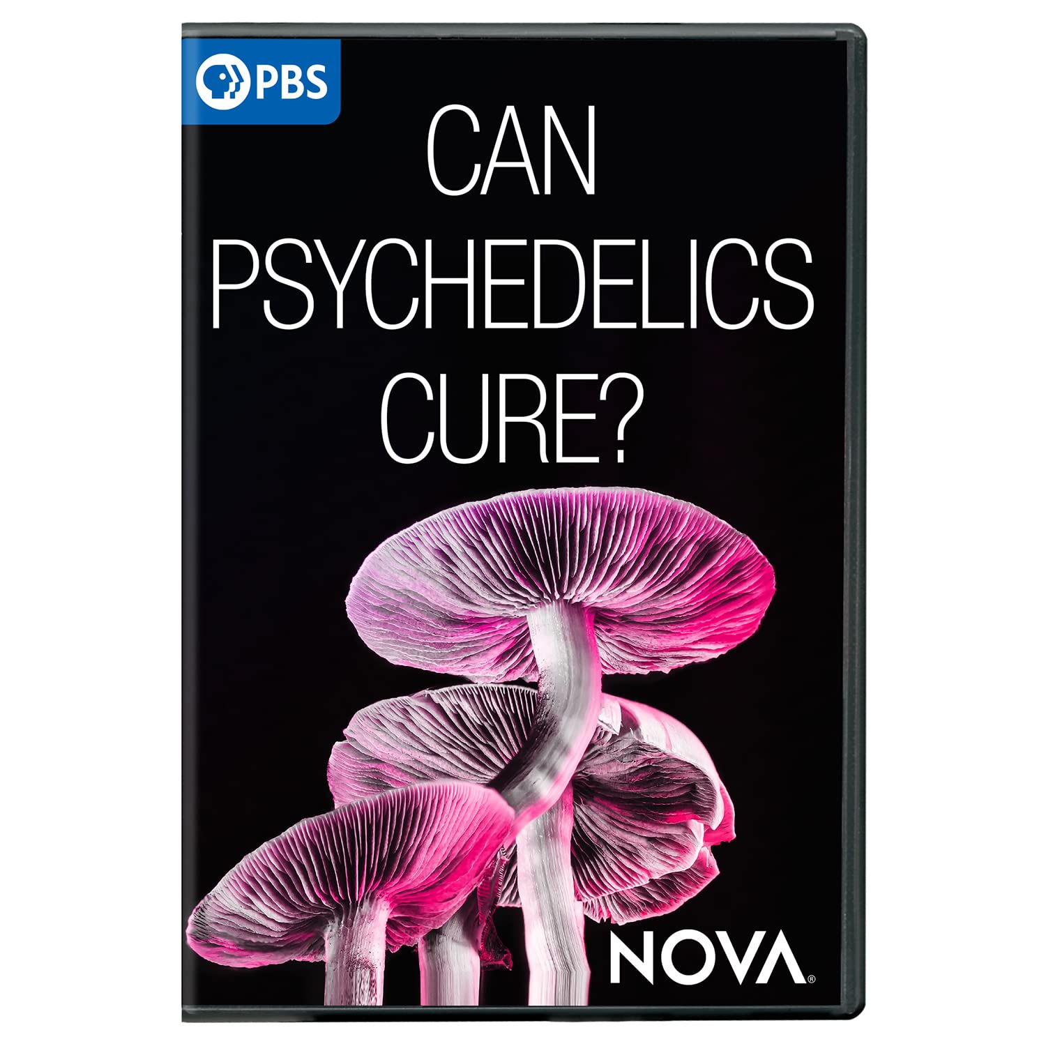 Nova: Can Psychedelics Cure? (DVD)