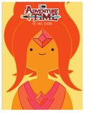 Adventure Time: The Final Seasons (DVD)
